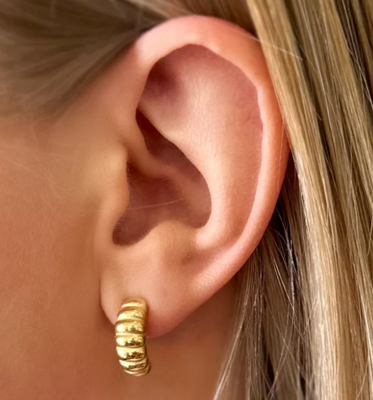 Courtside Stud Earrings