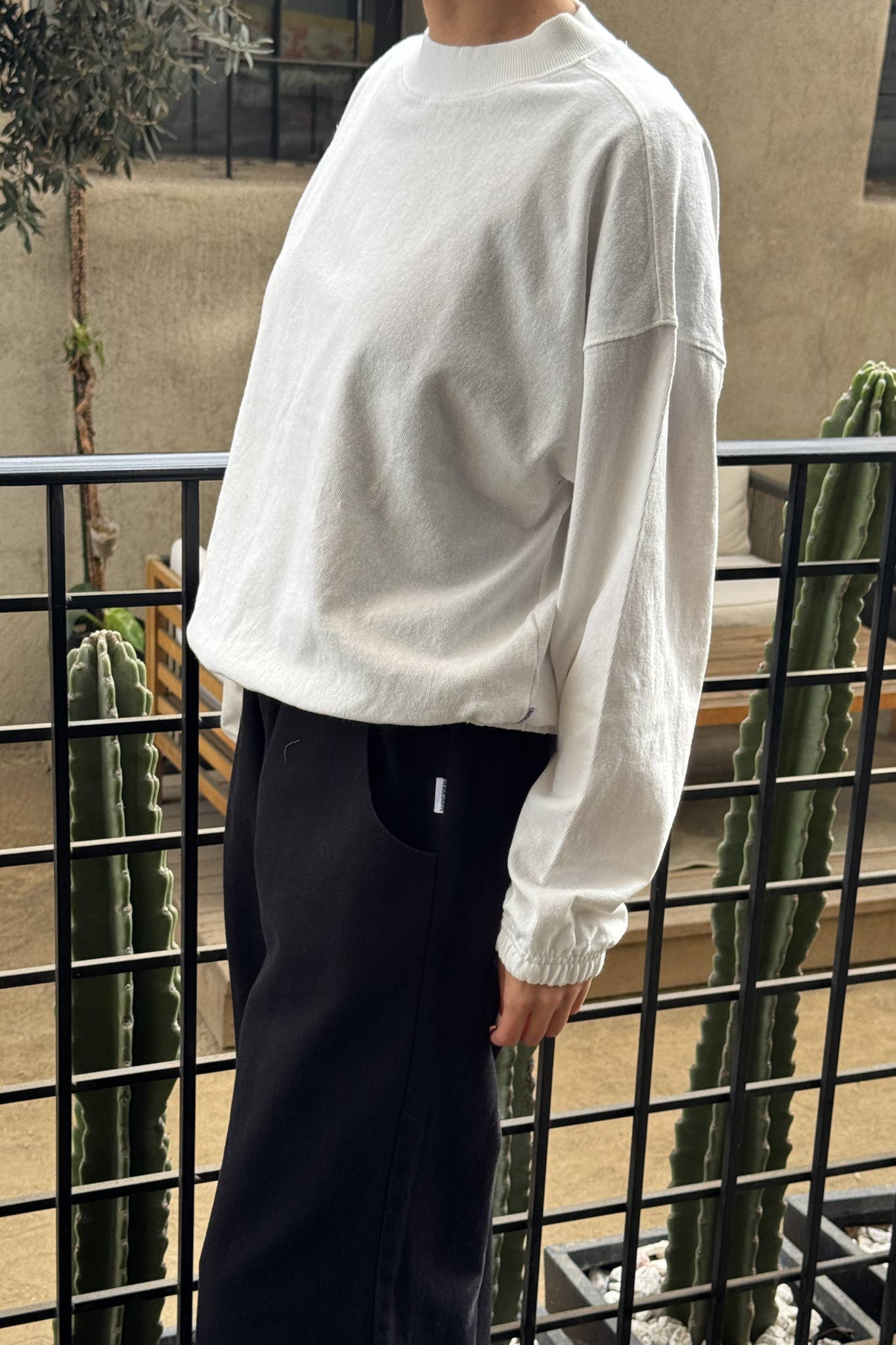 Daisy Long Sleeve Top: White Cotton