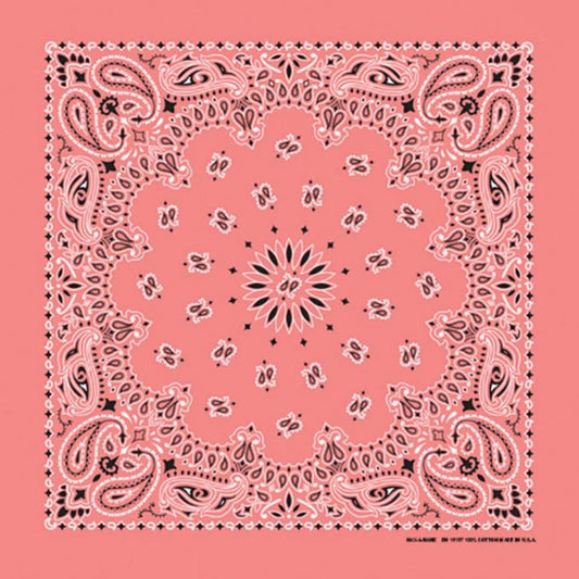 Made in the USA - Strawberry Paisley Bandana