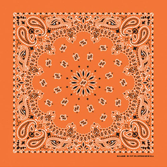 Made in the USA - Orange Paisley Bandana