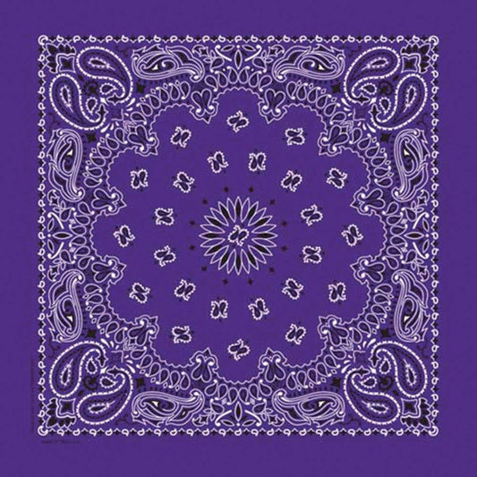 Made in the USA - Purple Paisley Bandana