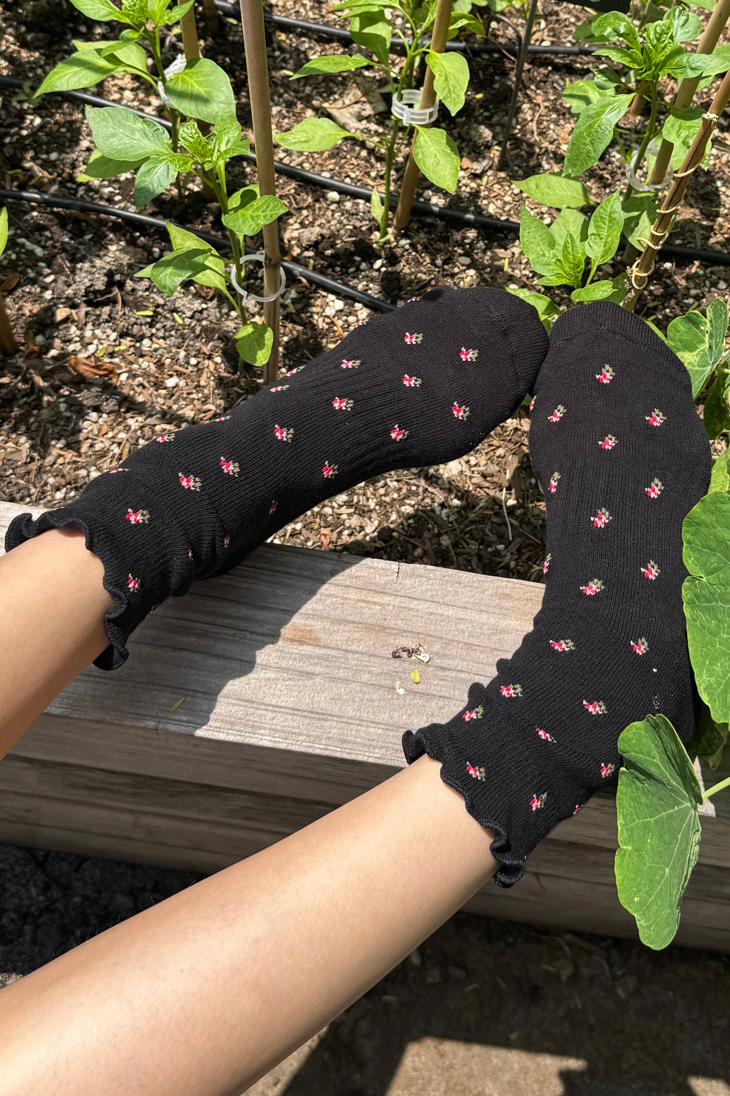 Petal Ruffled Hugger Crew Socks - Black Petal (COMING SHORTLY)