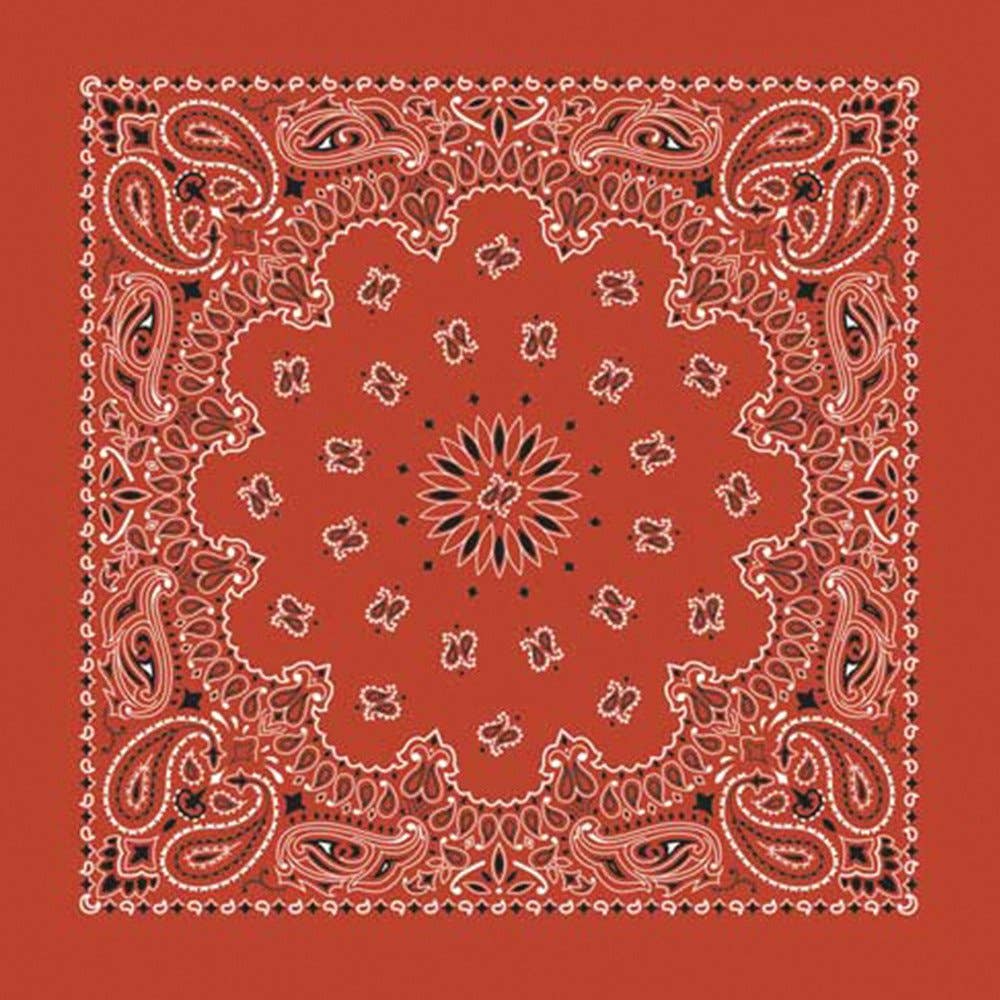 Made in the USA - Terracotta Paisley Bandana