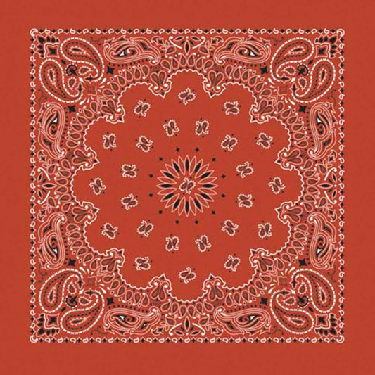 Made in the USA - Terracotta Paisley Bandana